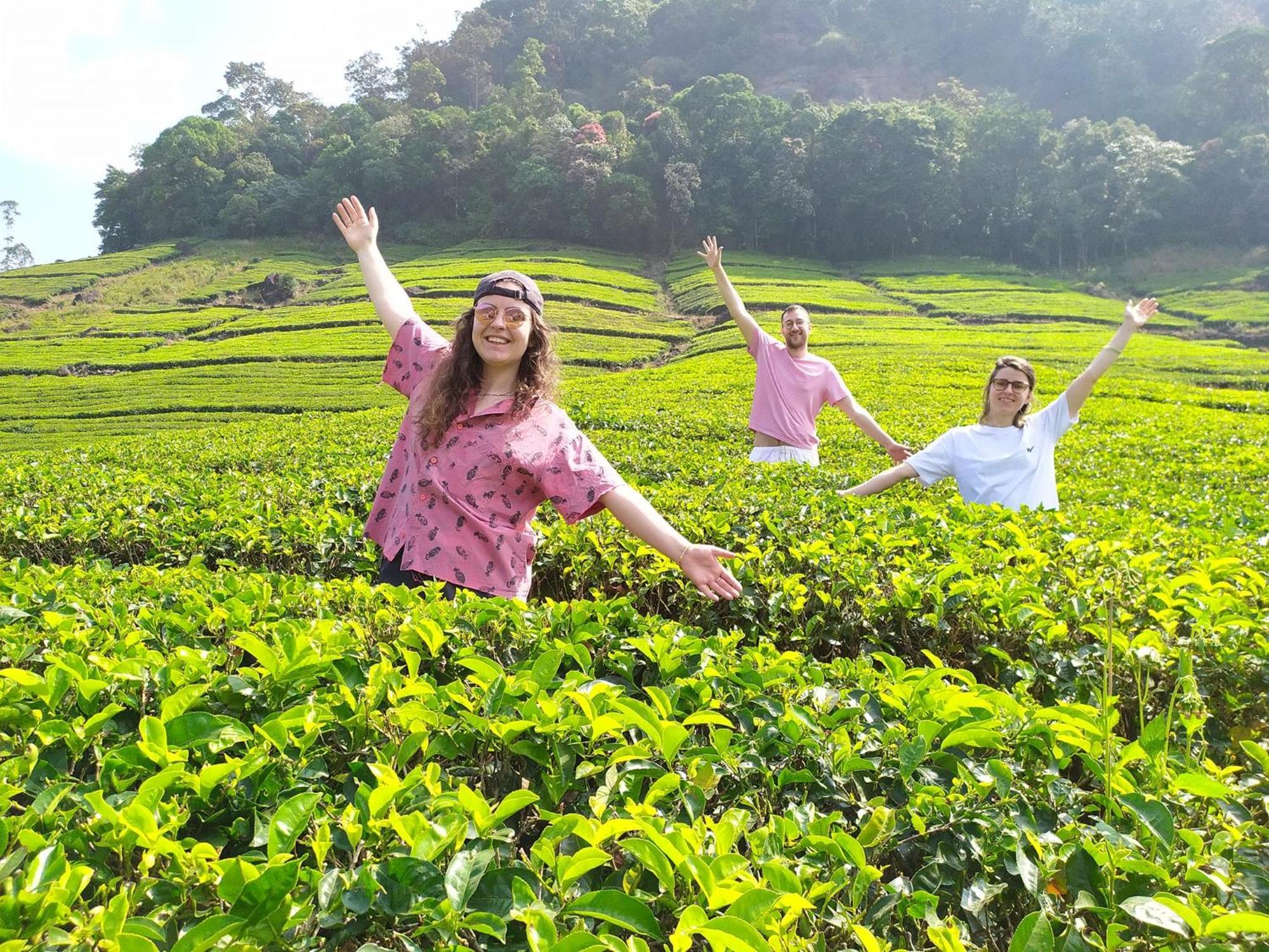 Forestscape Resort มุนนาร์ ภายนอก รูปภาพ