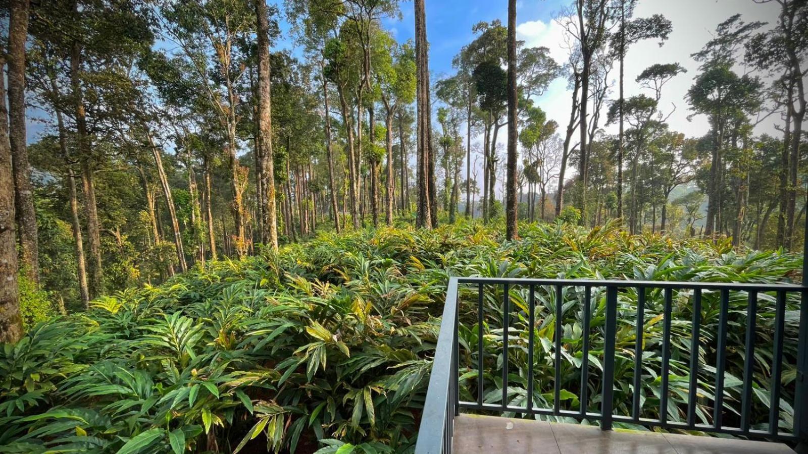 Forestscape Resort มุนนาร์ ภายนอก รูปภาพ